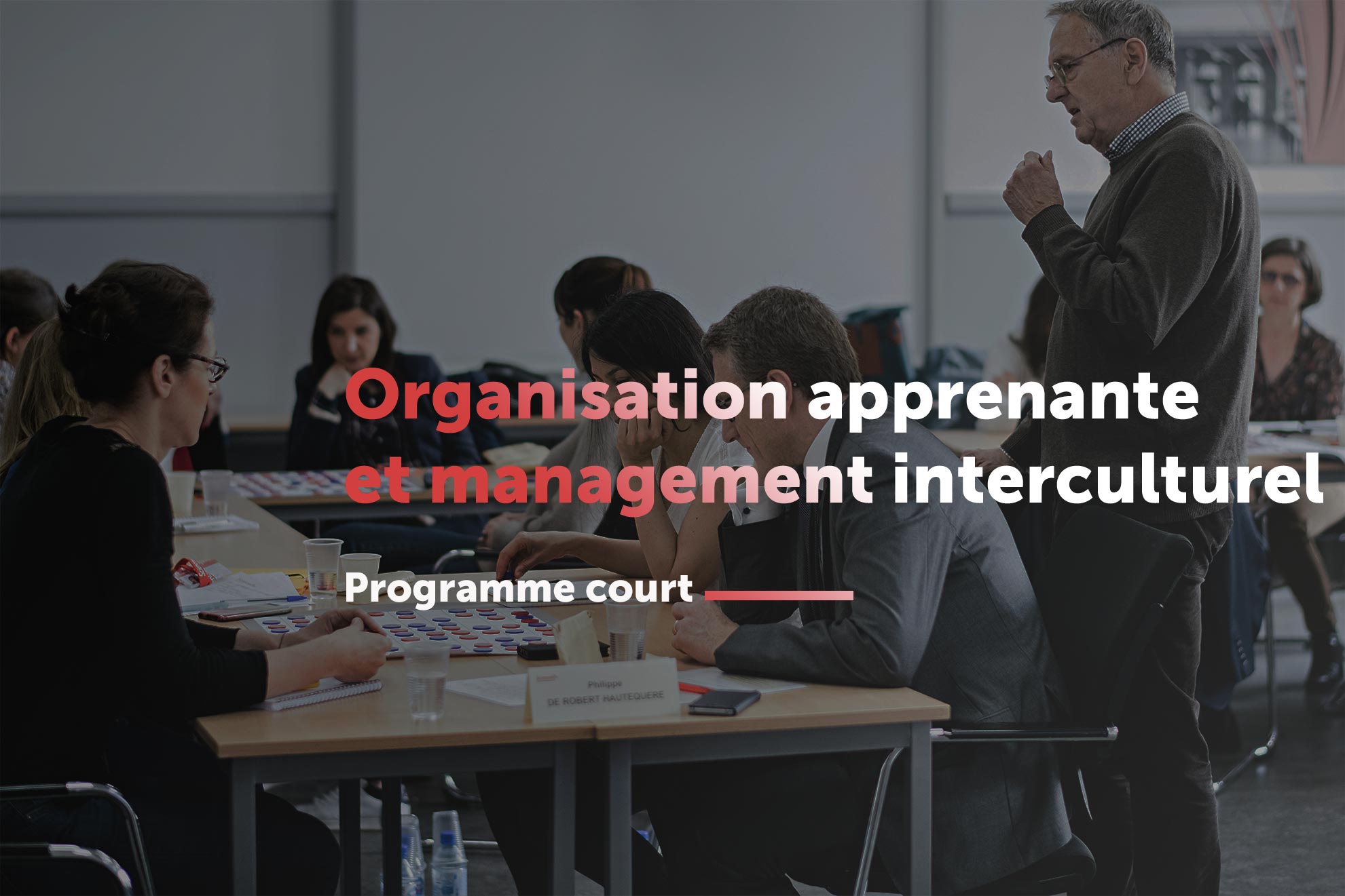 Formation Organisation Apprenante et Management Interculturel – Sciences Po